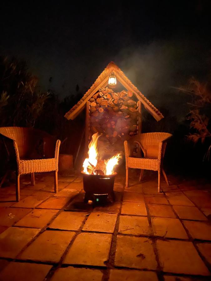 Myinsolite - Tiny-House, Jacuzzi, Brasero, Piscine Aigues-Mortes Ngoại thất bức ảnh