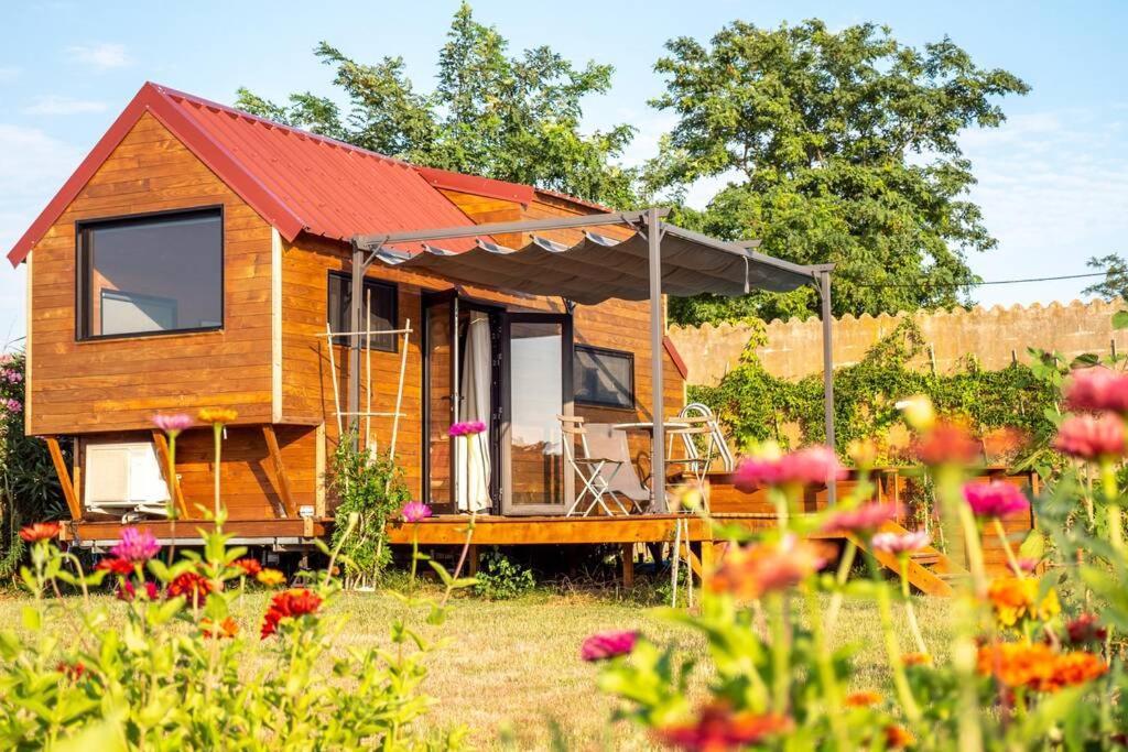 Myinsolite - Tiny-House, Jacuzzi, Brasero, Piscine Aigues-Mortes Ngoại thất bức ảnh