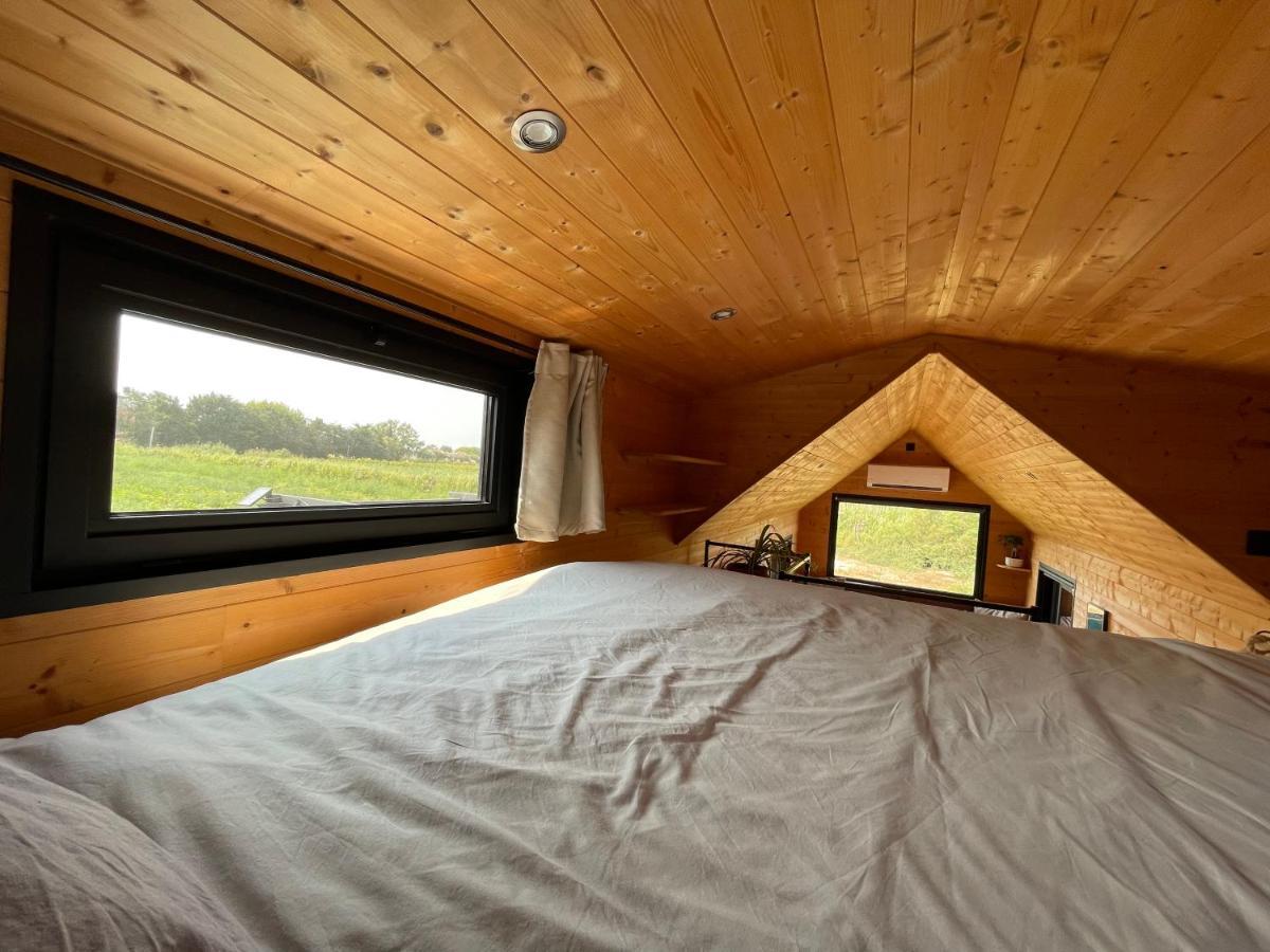 Myinsolite - Tiny-House, Jacuzzi, Brasero, Piscine Aigues-Mortes Ngoại thất bức ảnh